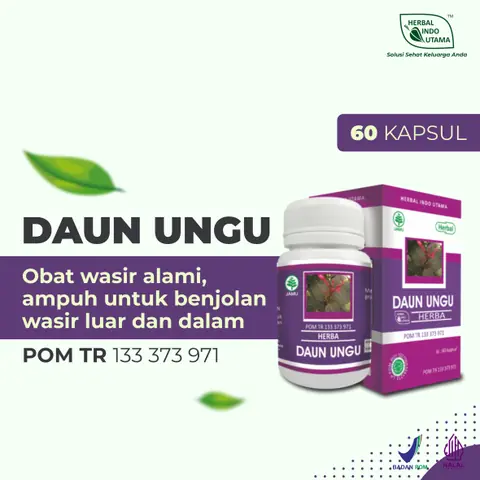 Herbal Indo Utama - DAUN UNGU Obat Wasir Ambeien Herbal Indo Utama isi 60 Kaps